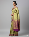 CELEBRITY TISSUE SILK SAREE