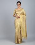 CELEBRITY TISSUE SILK SAREE