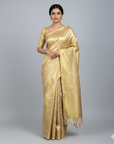 CELEBRITY TISSUE SILK SAREE