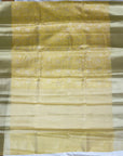 TISSUE SILK SAREE