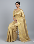 CELEBRITY TISSUE SILK SAREE